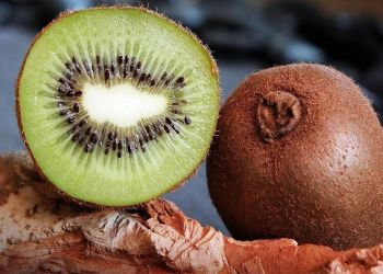 Εξαγωγές: Στο Ισραήλ ταξιδεύει το ελληνικό ακτινίδιο