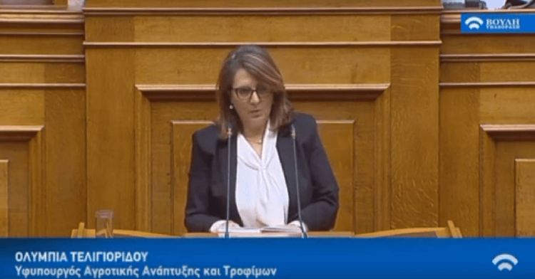 Ερώτηση Ολυμπίας Τελιγιορίδου για τις δυσλειτουργίες στο δίκτυο διανομής του ΔΕΔΔΗΕ στην ΠΕ Γρεβενών