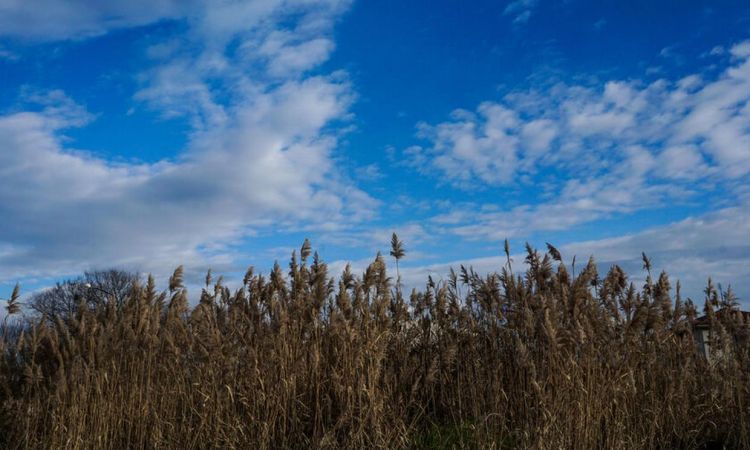 Ο Καιρός σήμερα: Αίθριος με λίγες παροδικές νεφώσεις