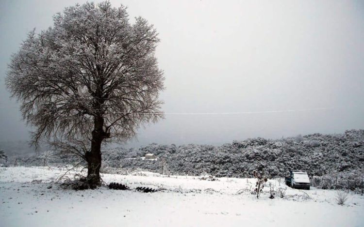 Ο Καιρός σήμερα: Νεφώσεις με τοπικές βροχές ή χιονόνερο και χιόνια στα ορεινά