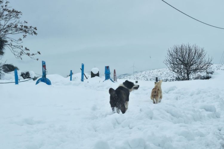 Ο χειμώνας είναι εδώ – Η αιφνίδια στρατοσφαιρική θέρμανση φέρνει πολικό ψύχος