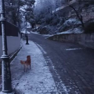 Kλειστά τα σχολεία στον Πεντάλοφο. Μικρή χιονόπτωση σε Κοζάνη