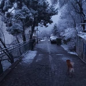 Kλειστά τα σχολεία στον Πεντάλοφο. Μικρή χιονόπτωση σε Κοζάνη