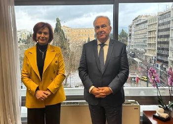 Η Παρασκευή Βρυζίδου  στον Αναπληρωτή Υπουργό Ανάπτυξης και Επενδύσεων κ. Νίκο Παπαθανάση