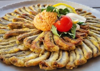 Η πρόοδος της επιστήμης Η πρόοδος της επιστήμης