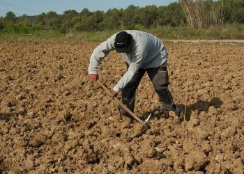 Πώς Διαμορφώνονται Οι Ασφαλιστικές Εισφορές Των Αγροτών – Έως 12 Φεβρουαρίου Η Επιλογή Ασφαλιστικής Κατηγορίας