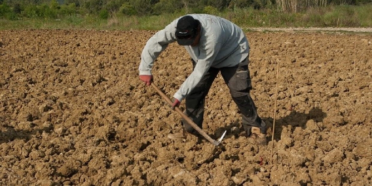 Πώς Διαμορφώνονται Οι Ασφαλιστικές Εισφορές Των Αγροτών – Έως 12 Φεβρουαρίου Η Επιλογή Ασφαλιστικής Κατηγορίας