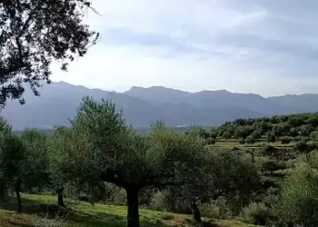 Έξυπνο ρομπότ, για τους αγρότες, από τρεις νέους επιστήμονες, στη Σίνδο