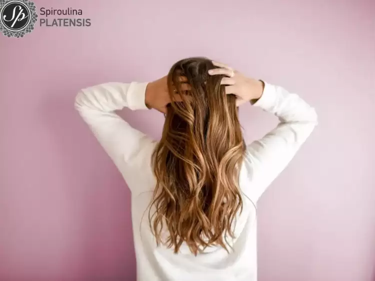 Αντιμετώπισε την τριχόπτωση με Spiroulina Platensis!