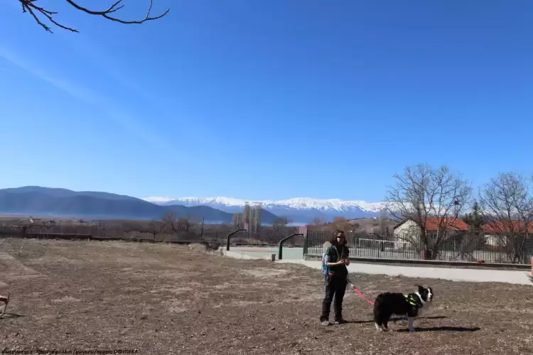 Εορτασμός της Εθνικής Ημέρας Δράσης ενάντια στη χρήση των δηλητηριασμένων δολωμάτων
