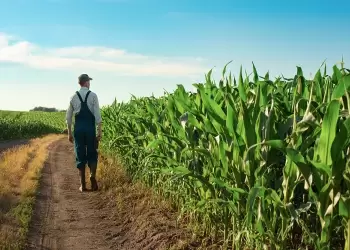 Μητρώο αγροτών – Τα δικαιολογητικά για την χορήγηση βεβαιώσεων