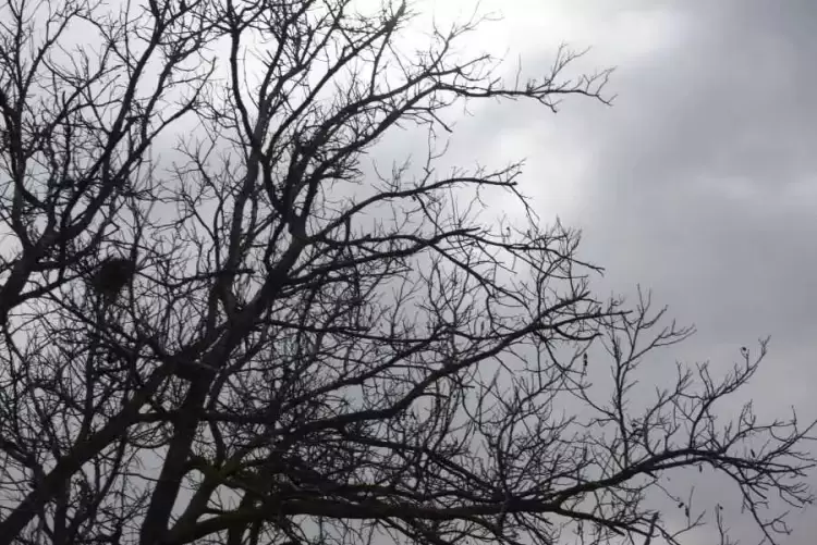 Ο Καιρός σήμερα: Αυξημένες νεφώσεις με τοπικές βροχές και σποραδικές καταιγίδες