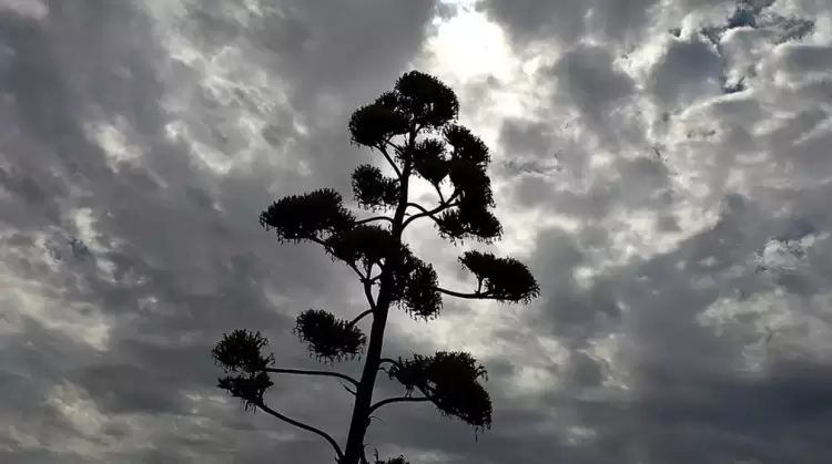 Ο Καιρός σήμερα: Καλός με λίγες συννεφιές