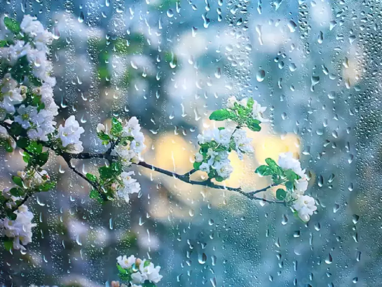 Ο Καιρός σήμερα: Συννεφιές και βροχές στα πεδινά για σήμερα την Κυριακή