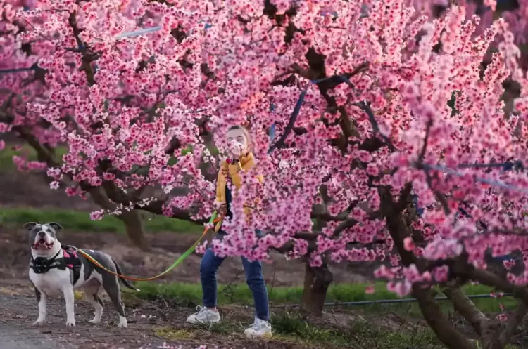 Εαρινή Ισημερία 2023: Μπήκε κι επίσημα η Άνοιξη, πότε φτάνει η μέρα στο «ζενίθ» της