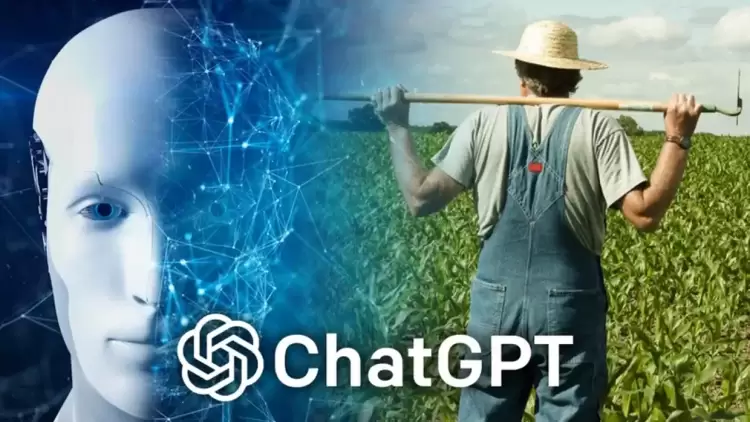 Έρευνα: Οι θέσεις εργασίας που δεν απειλούνται καθόλου από το ChatGPT Έρευνα: Οι θέσεις εργασίας που δεν απειλούνται καθόλου από το Chatgpt