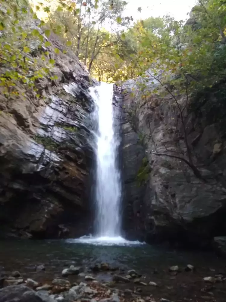 Η εξόρμηση του ΣΕΟ