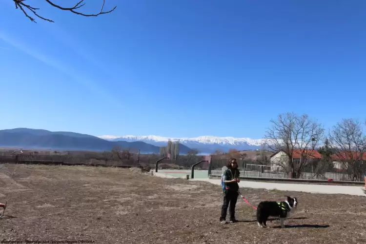 Μαθητές από τις Πρέσπες συμμετείχαν στον εορταμό Εθνικής ημέρας ενάντια στη χρήση δηλητηριασμένων δολωμάτων