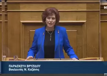 Παρασκευή Βρυζίδου: Ενιαίο ρυθμιστικό πλαίσιο για την οργάνωση και λειτουργία του Ελληνικού Γεωργικού Οργανισμού – ΔΗΜΗΤΡΑ