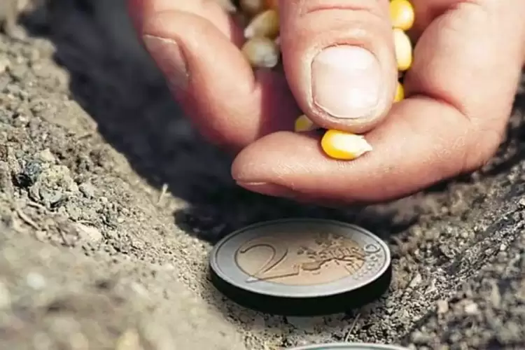 Στο ταμείο από τον ΟΠΕΚΕΠΕ και όσοι δικαιούνται αγροτικές επιδοτήσεις μικρότερες των 250 ευρώ Στο ταμείο από τον ΟΠΕΚΕΠΕ και όσοι δικαιούνται αγροτικές επιδοτήσεις μικρότερες των 250 ευρώ