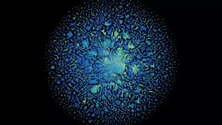 Η τεχνητή νοημοσύνη της Meta ξεκλειδώνει εκατομμύρια πρωτεΐνες που θα μπορούσαν να βοηθήσουν στην ανάπτυξη νέων φαρμάκων