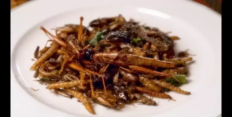 Τρόφιμα με αλεύρι από γρύλο, αλευροσκουλήκι και ακρίδα με την «βούλα» της ΕΕ