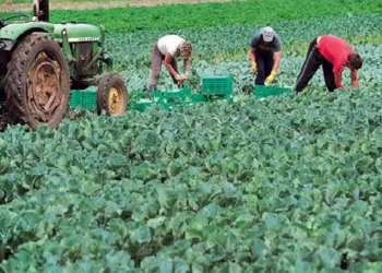 Αγρότες: «Καμπανάκι» Για Τους Εργάτες Γης – Καθυστερήσεις Στις Μετακλήσεις