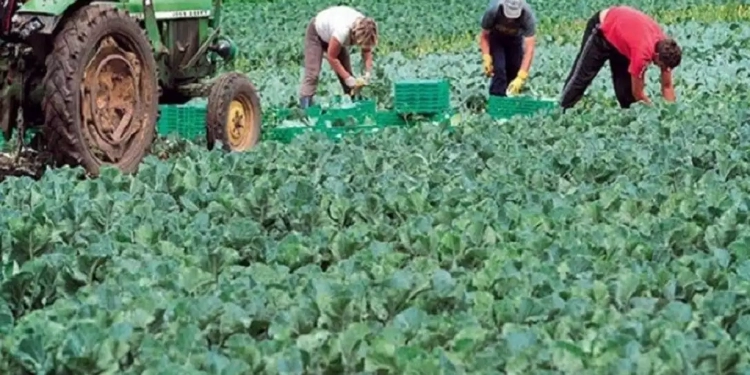 Αγρότες: «Καμπανάκι» Για Τους Εργάτες Γης – Καθυστερήσεις Στις Μετακλήσεις