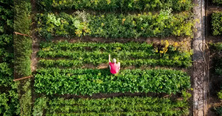 Ακολουθούμε «ηθική διατροφή» και προστατεύουμε τον πλανήτη Ακολουθούμε «ηθική διατροφή» και προστατεύουμε τον πλανήτη