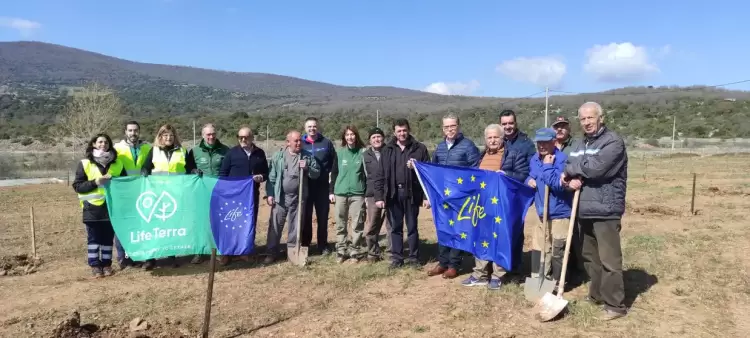 Δενδροφύτευση στο Νέο Κλείτο σε συνεργασία με το πρόγραμμα LIFE TERRA