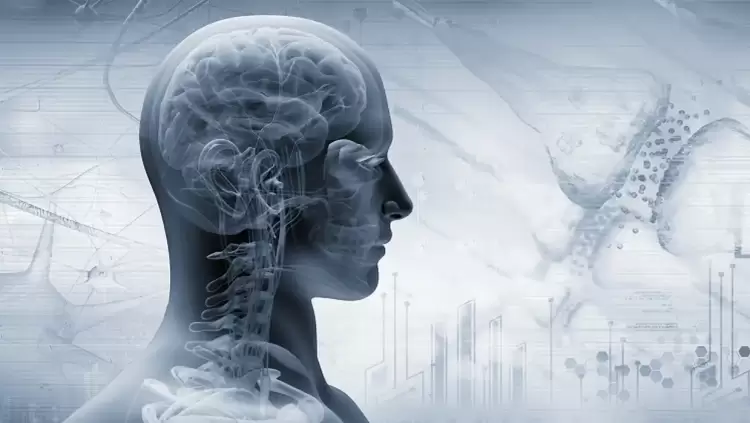 Vagus Nerve ή αλλιώς το νεύρο που καθορίζει τη ζωή μας