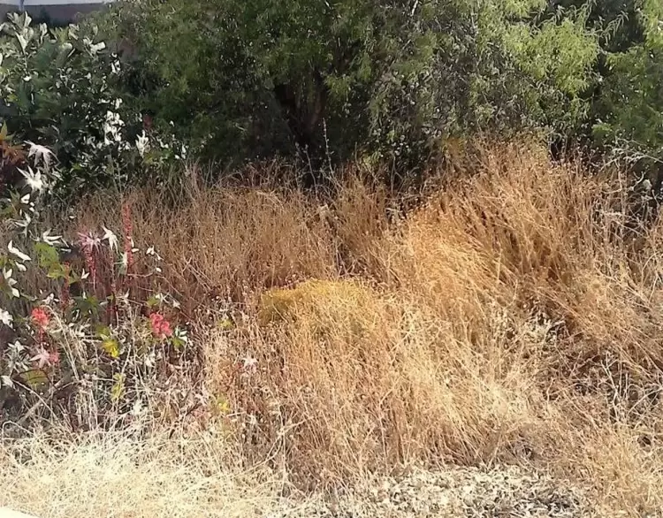 Δήμος Κοζάνης: Καθαρισμός χώρων για την αποτροπή κινδύνου πρόκλησης πυρκαγιάς ή ταχείας επέκτασής της