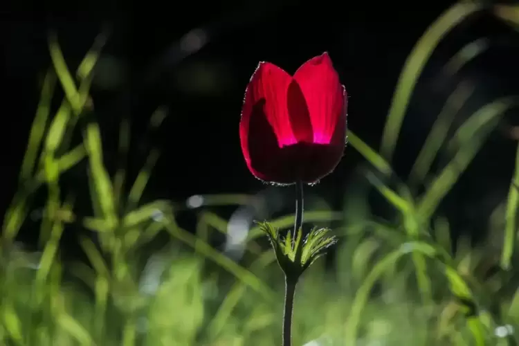 Καιρός: Μπόρες, χαλάζι και «άρωμα» καλοκαιριού – Η πρόγνωση για την Πρωτομαγιά