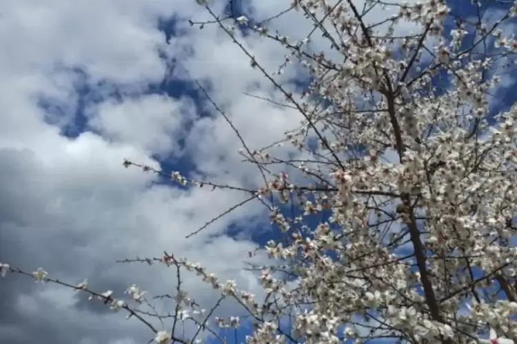 Ο Καιρός σήμερα για Κοζάνη και δυτική Μακεδονία: Τρίτη του Πάσχα με τοπικές βροχές και σποραδικές καταιγίδες Ο Καιρός σήμερα για Κοζάνη και δυτική Μακεδονία: Τρίτη του Πάσχα με τοπικές βροχές και σποραδικές καταιγίδες