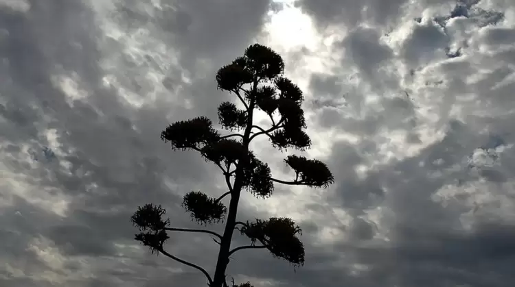 Ο Καιρός σήμερα για Κοζάνη και δυτική Μακεδονία: Συννεφιά, βροχές και άνοδος θερμοκρασίας την Δευτέρα