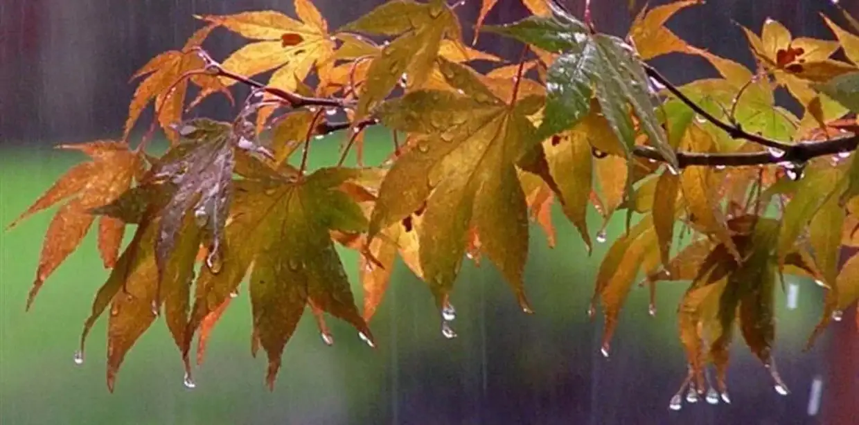Ο Καιρός Σήμερα Για Κοζάνη Και Δυτική Μακεδονία: Νεφώσεις, Βροχές Άνοδος Της Θερμοκρασίας Τη Μεγάλη Τρίτη