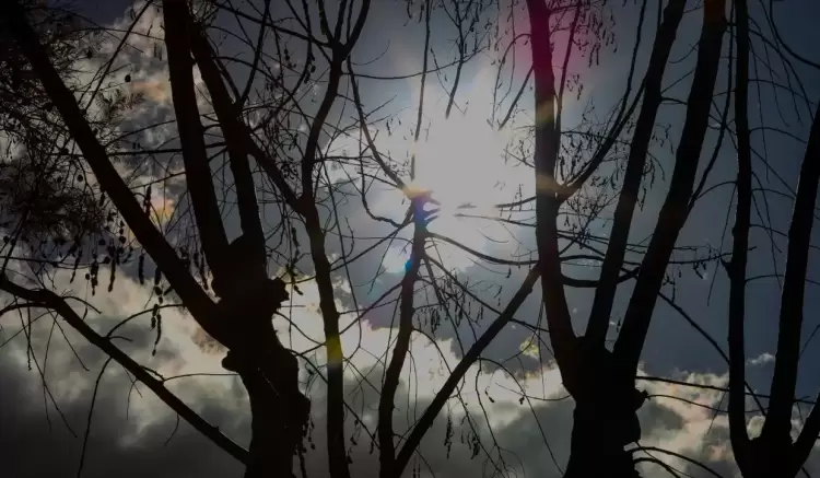 Ο Καιρός σήμερα για Κοζάνη και δυτική Μακεδονία: Μεγάλη Δευτέρα με βροχές, βοριάδες και πτώση θερμοκρασίας