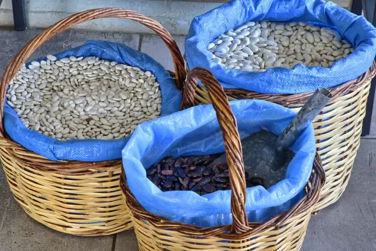 Κατάρτιση ανέργων με εστίαση στην Αγροτική Επιχειρηματικότητα στον Δήμο Πρεσπών