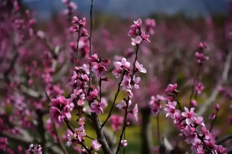 Με μπόρες ξεκινά η Μεγάλη Εβδομάδα – Πως θα είναι την Κυριακή του Πάσχα