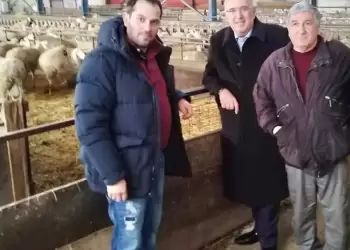 Μιχάλης Παπαδόπουλος: Οι πληρωμές για το γάλα αιγοπροβάτων πιστώθηκαν  σε 829 δικαιούχους στην ΠΕ Κοζάνης