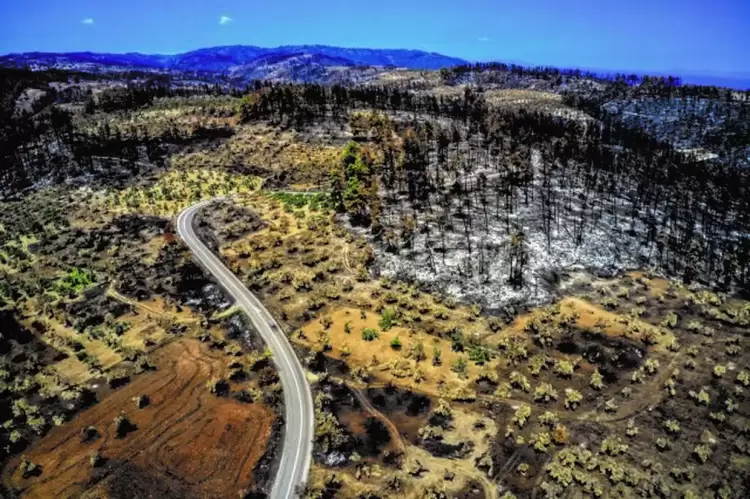 Οι επιπτώσεις της κλιματικής αλλαγής στην οικονομία – Το δημόσιο χρέος και η πράσινη μετάβαση