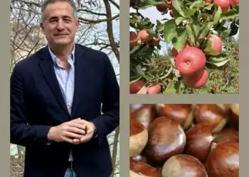 Στάθης Κωνσταντινίδης, βουλευτής ΠΕ Κοζάνης: «Πληρώνονται οι ενισχύσεις στους μηλοπαραγωγούς και στους καστανοπαραγωγούς»