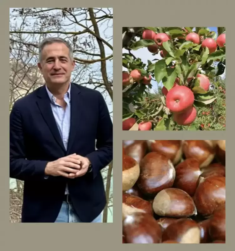 Στάθης Κωνσταντινίδης, βουλευτής ΠΕ Κοζάνης: «Πληρώνονται οι ενισχύσεις στους μηλοπαραγωγούς και στους καστανοπαραγωγούς» Στάθης Κωνσταντινίδης, βουλευτής ΠΕ Κοζάνης: «Πληρώνονται οι ενισχύσεις στους μηλοπαραγωγούς και στους καστανοπαραγωγούς»