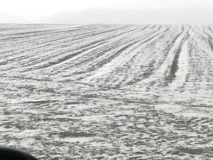 Στις επιτόπιες αυτοψίες του ΕΛΓΑ παρευρέθηκε ο Αντιπεριφερειάρχης Αγροτικής Ανάπτυξης Δυτικής Μακεδονίας Λάμπρος Χατζηζήσης