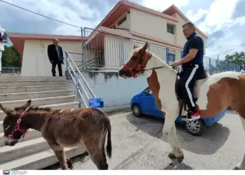 Εκλογές 2023 – Ναύπλιο: Αγρότης ψήφισε μαζί με τα άλογα και τα γαϊδούρια του