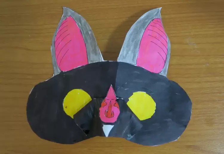 Γνωρίζοντας τις παρεξηγημένες φίλες μας, τις νυχτερίδες