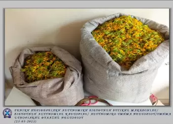 Καστοριά: Σύλληψη 61χρονου, για παράνομη συλλογή ποσότητας αρωματικού θεραπευτικού φυτού