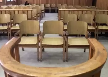 Καταδίκη 27χρονου που μαχαίρωσε μέχρι θανάτου αδέσποτο σκύλο στα Κουφάλια Θεσσαλονίκης