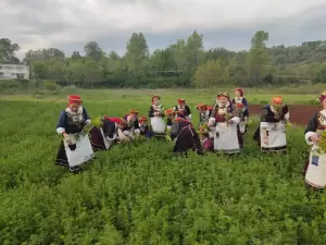 Οι γυναίκες της Λευκοπηγής έπιασαν τον Μάη…