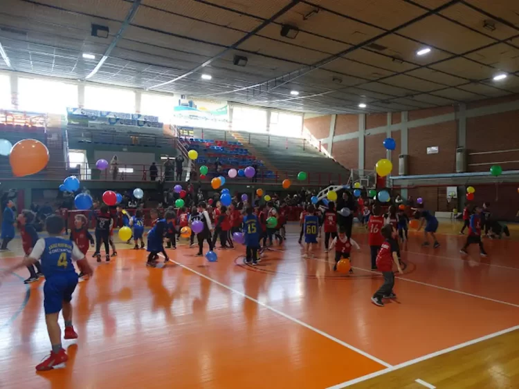 Funbasket: Μεγάλη Συμμετοχή Στη Βέροια Και Στην Κοζάνη